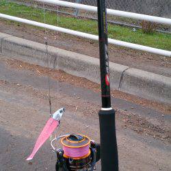 春木ベランダで太刀魚2匹ゲット