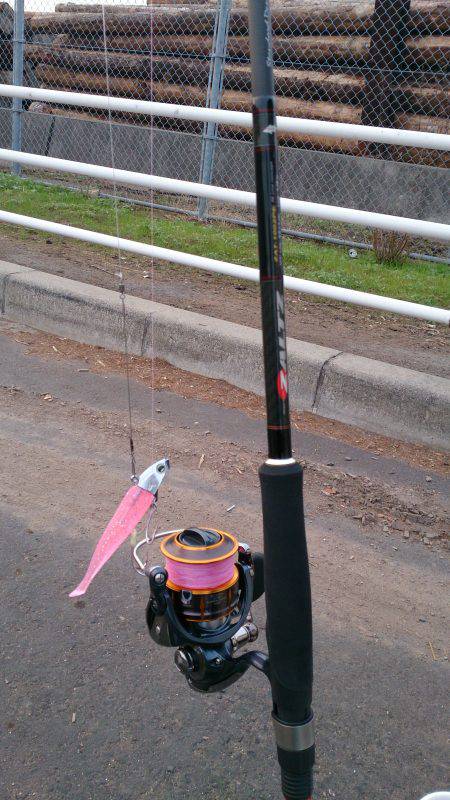 春木ベランダで太刀魚2匹ゲット