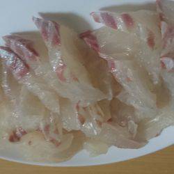 はじめましての釣り堀