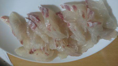 はじめましての釣り堀