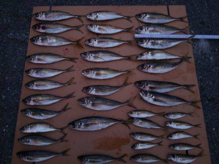 今年初の日本海遠征で好釣果…。