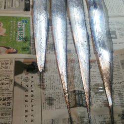 まだ太刀魚が居てた♪