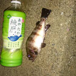 寒波には負けません