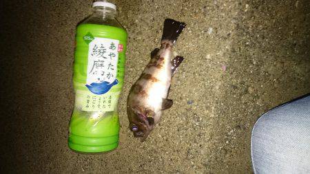 寒波には負けません