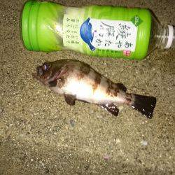 寒波には負けません