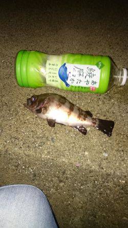 寒波には負けません