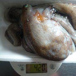 オクトパッシング