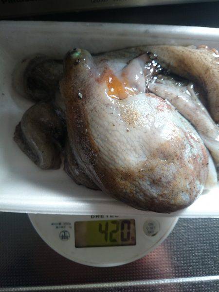 オクトパッシング