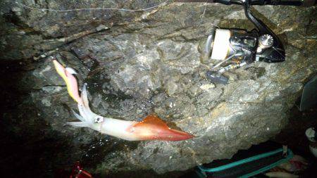 釣り始めが……