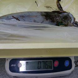 寒波がくるまえに！