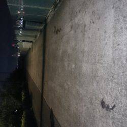 釣りは楽しいですね~