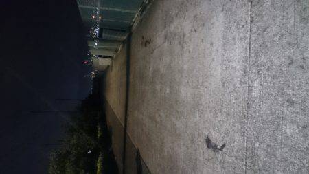 釣りは楽しいですね~