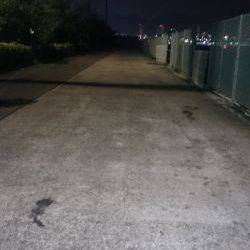 釣りは楽しいですね~