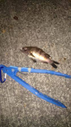 初詣のあとは、やっぱり釣りでしょ