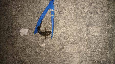 お正月休みラスト