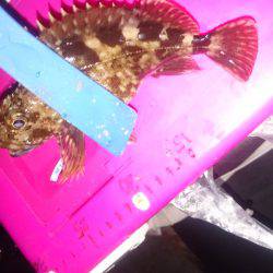 三連休ですはねー