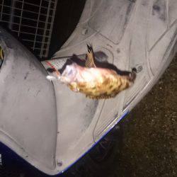 爆風 雨 に撃沈