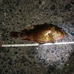 風もなく、楽しかった