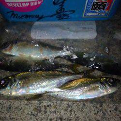 今年もよろしくお願い致します♪