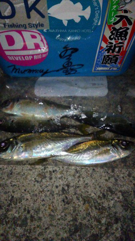 今年もよろしくお願い致します♪