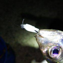 １バイト１ヒット