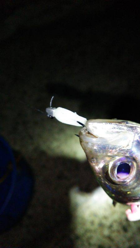 １バイト１ヒット