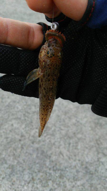 ちょこっとだけライトゲーム