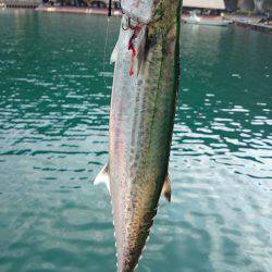 10メートルほどの立ち位置の違いで