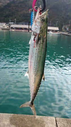 10メートルほどの立ち位置の違いで