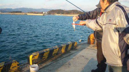 アジ、サビキ釣り！！＾＾