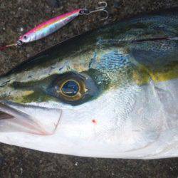 寒くなる前に！！