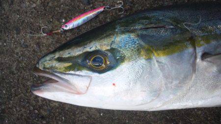 寒くなる前に！！