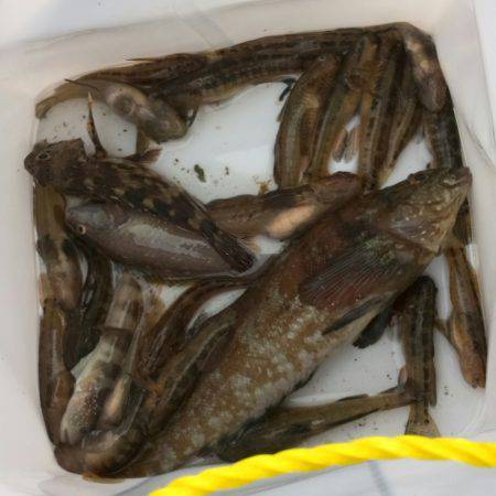 北公園で釣り納めm(__)m