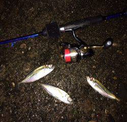 厳しいアジング