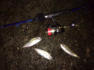 厳しいアジング