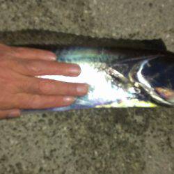 人生初ドラゴンgetです！