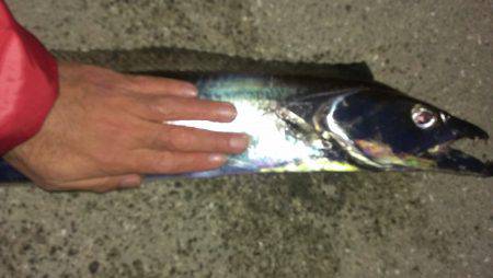 人生初ドラゴンgetです！