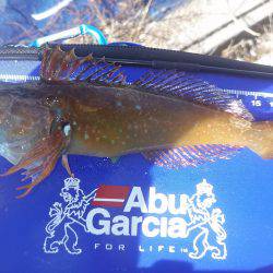 デイメバリング