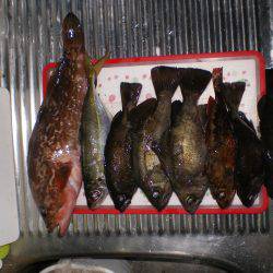 初釣り、家族釣行