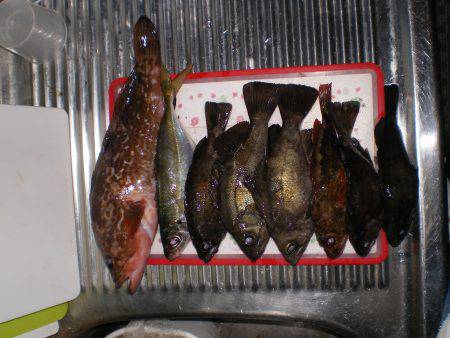 初釣り、家族釣行