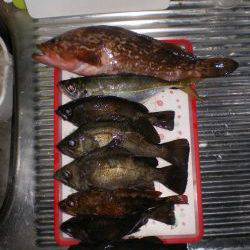 初釣り、家族釣行