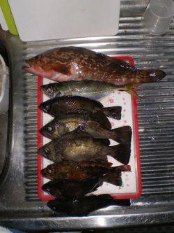 初釣り、家族釣行