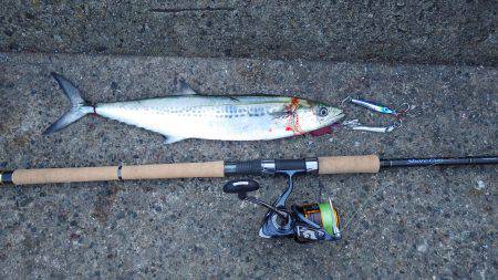 宮津～舞鶴ランガン