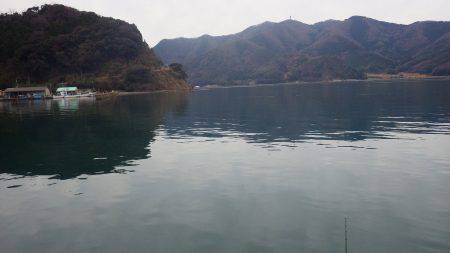 親海公園サゴシまだいけます。