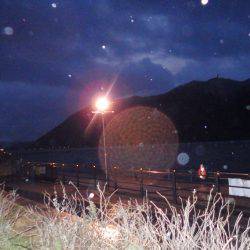 大寒波前の荒食い？