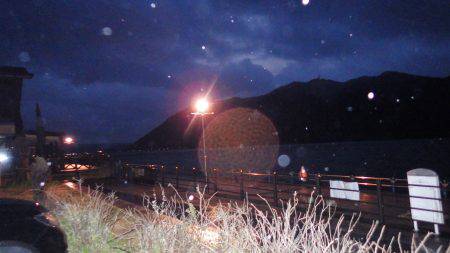 大寒波前の荒食い？