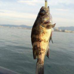 今朝の神戸空港は激アツ