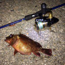 腹パンガッシー