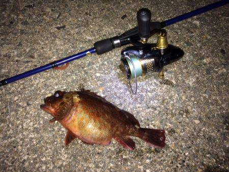 腹パンガッシー