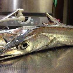 エサは新鮮さが命